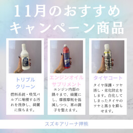 ＊１１月のキャンペーン商品＊